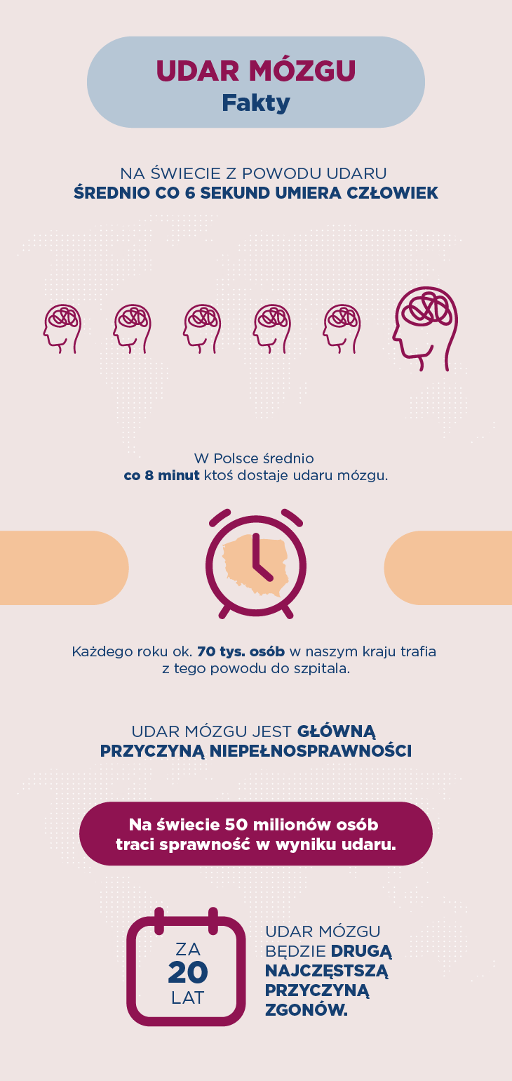 Udar mózgu – fakty